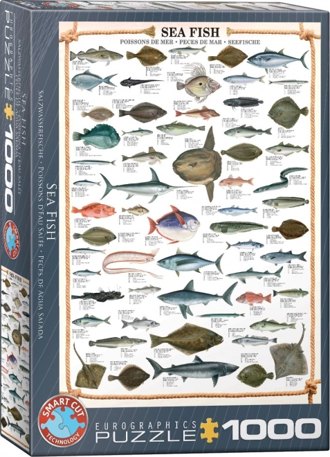 Tengeri halak 1000 darabos puzzle