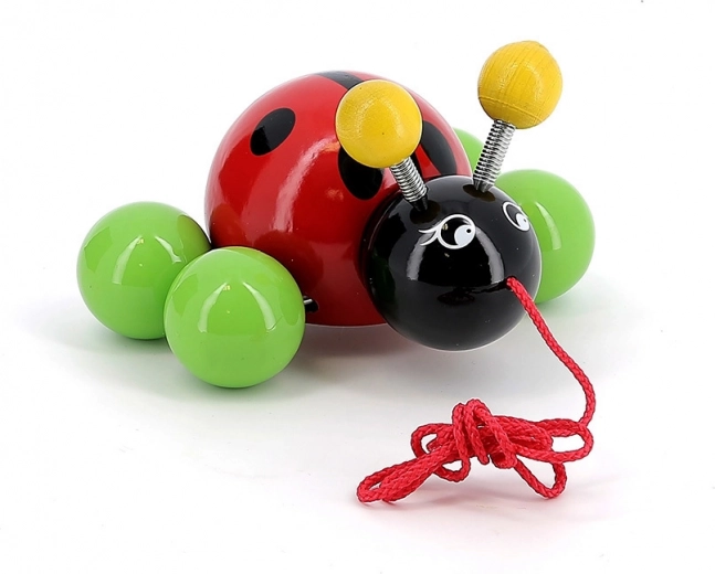 Sima, lakkozott fa szerkezet