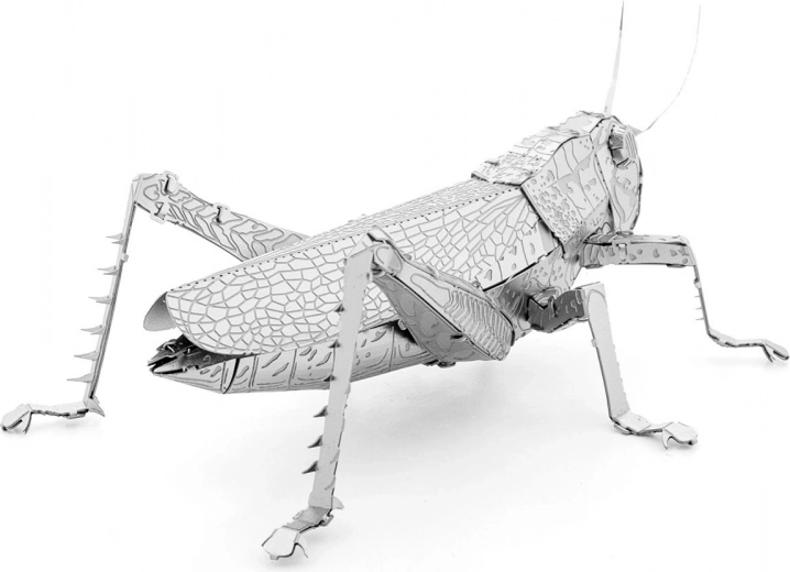 Fém gyűjtői darab kiállításra