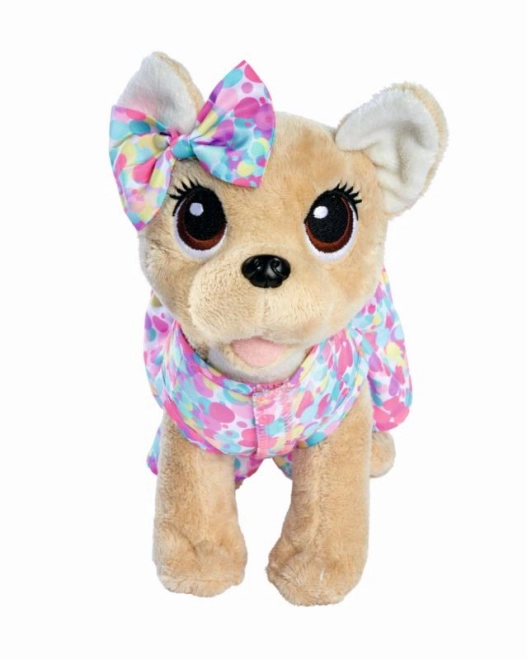 Aranyos chihuahua 20 cm – puha és bársonyos