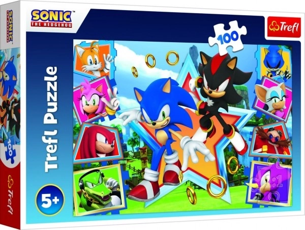 Sonic 100 darabos puzzle