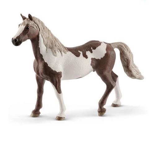 Paint gelding figura