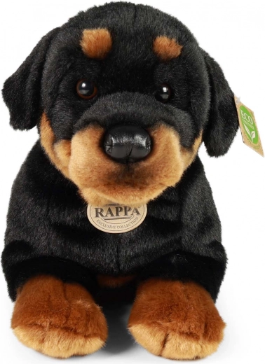 Biztonságos újszülött kortól