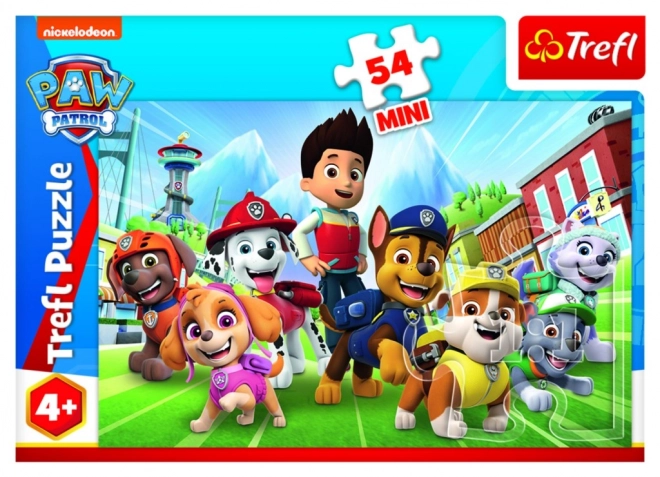 Minipuzzle 54 darabos Paw Patrol 4 fajtája dobozban