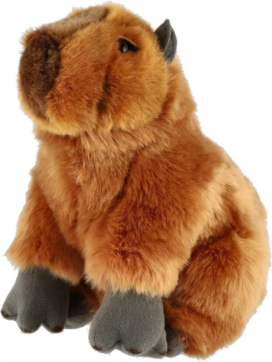 Élethű megjelenés, amely örömet szerez