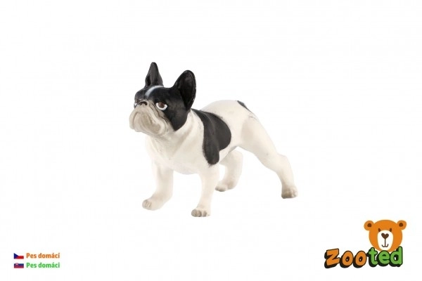 Francia Bulldog műanyag figura 6 cm