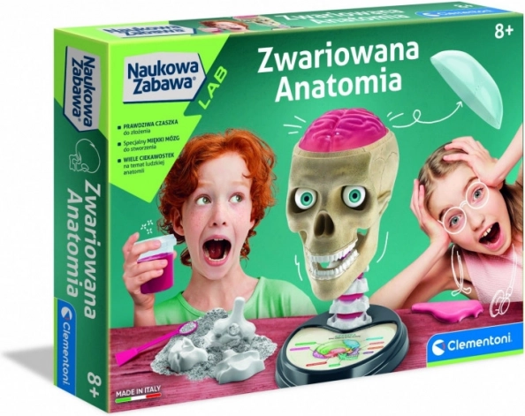Őrült anatómia oktatókészlet