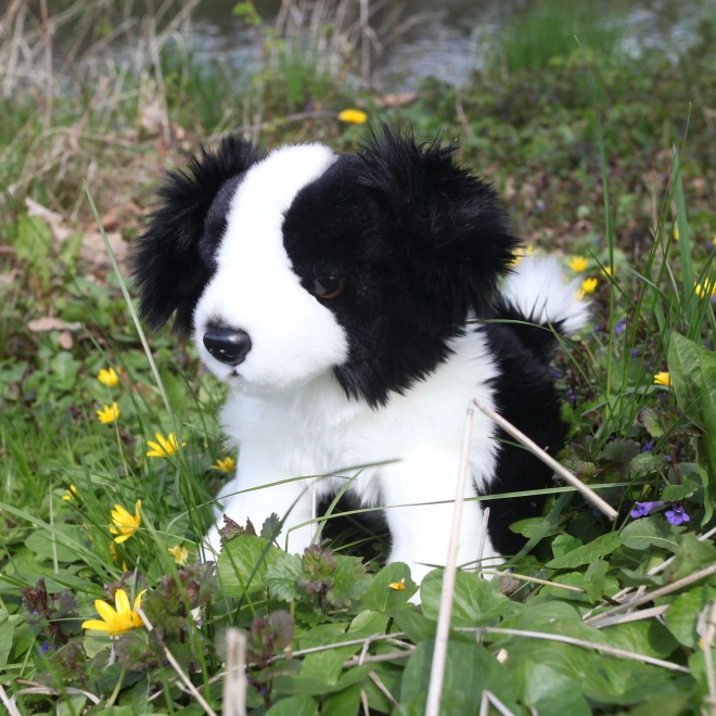 ölelő border collie kutyus 30 cm eco-friendly