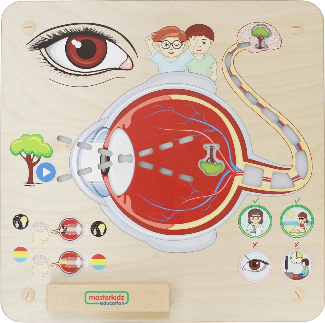 Masterkidz Oktatási észlelőtábla Montessori