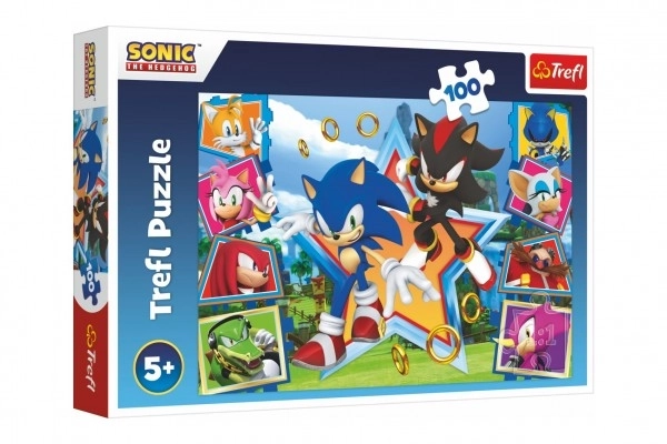 Sonic 100 darabos puzzle