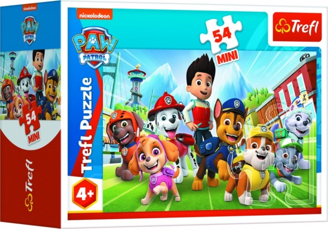 Minipuzzle 54 darabos Paw Patrol 4 fajtája dobozban