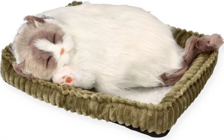 Valósághű alvás a megnyugváshoz