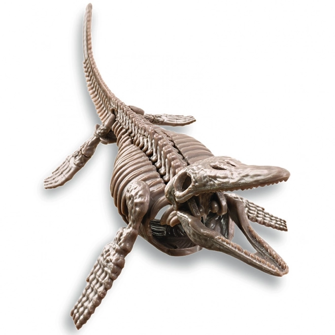 4M régész készlet - Mosasaurus csontváz