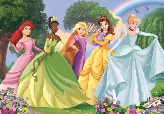 Varázslatos Disney hercegnők motívum