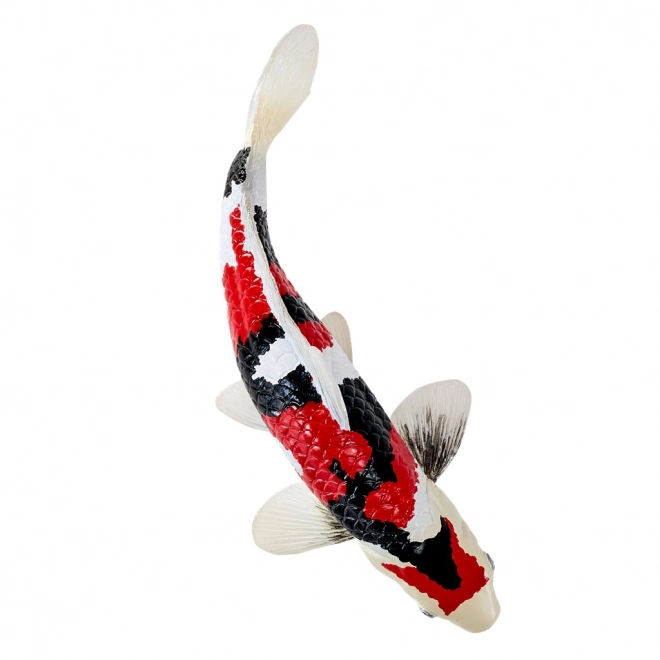 Mojo koi ponty showa sanshoku