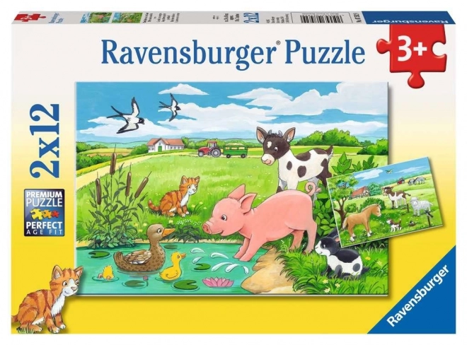 Ravensburger állatkölykök 2x12 darabos puzzle