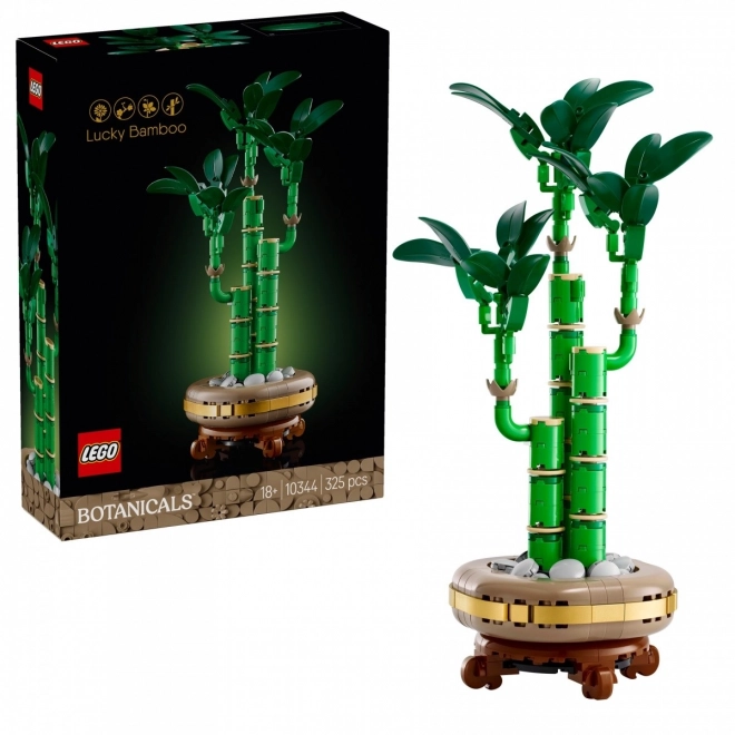 Dekorációs LEGO Botanicals Dracena