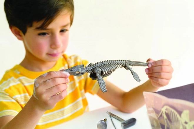 4M régész készlet - Mosasaurus csontváz