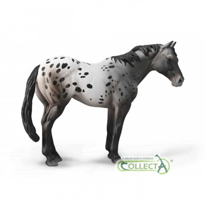 Collecta appaloosa ló figura