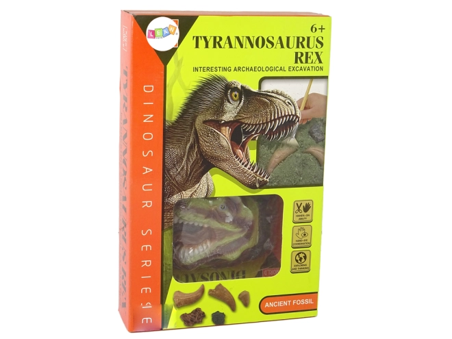 Valódi hatású Tyrannosaurus fosszília