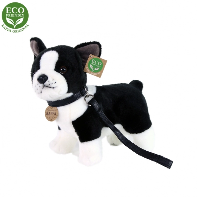 Plüss francia bulldog kutya pórázzal 23 cm