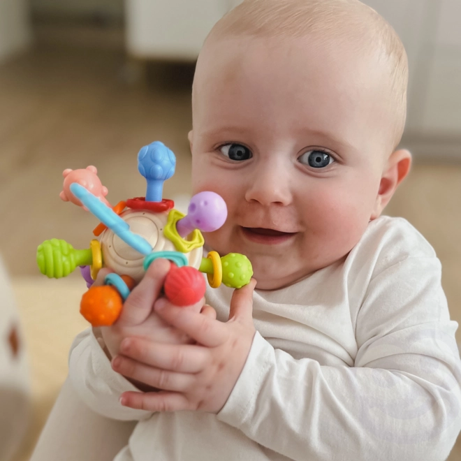 Színes Érzékszervi Labda WOOPIE csecsemőknek