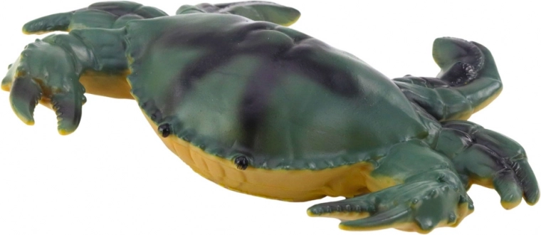 Élethű színek és különféle tengeri állatok