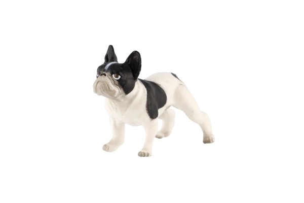 Francia Bulldog műanyag figura 6 cm