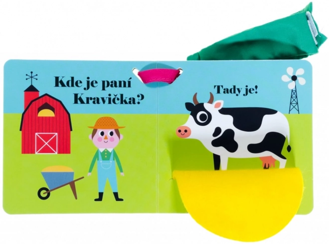 Hol van Tyúkanyó? Babakocsi könyv