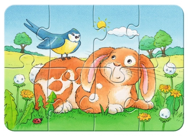 Ravensburger első puzzle háziállatok 4 az 1-ben