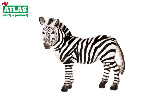 Kézzel festett zebra figura