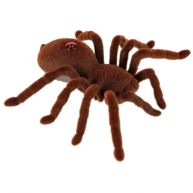 Távirányítós tarantula pók