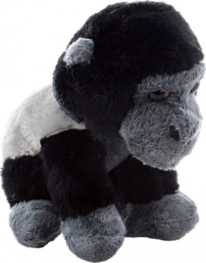 Természetes és valósághű megjelenés