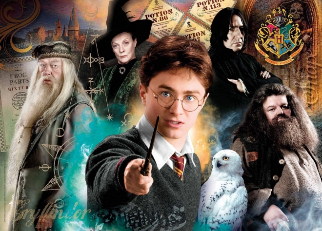 Harry Potter 500 darabos puzzle