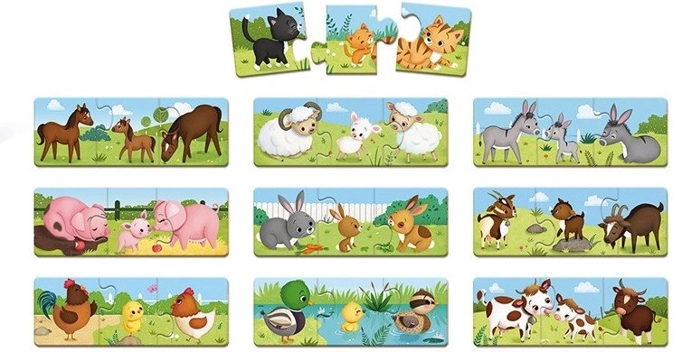 Támogatja a természet megismerését