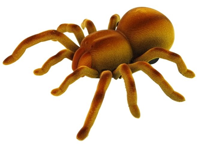 Valósághű tarantula megjelenés