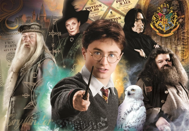 puzzle 1000 darabos compact harry potter clementoni