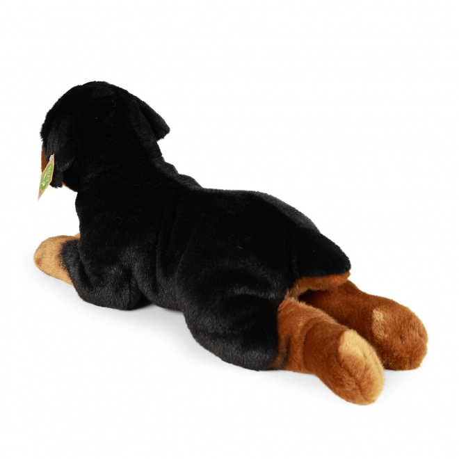 Plüss Rottweiler kutya fekvő 39 cm öko-barát