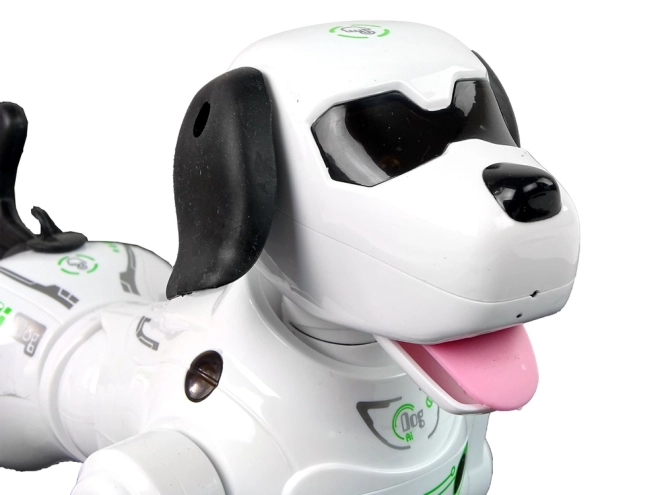 Interaktív távirányítós robotkutya