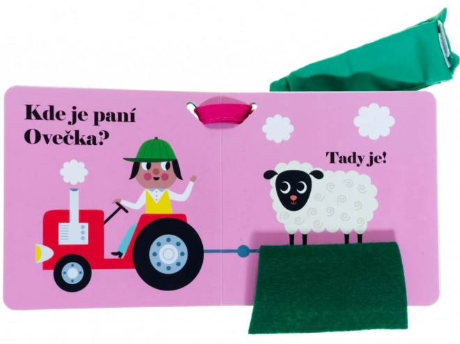 Hol van Tyúkanyó? Babakocsi könyv