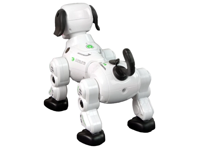 Interaktív távirányítós robotkutya