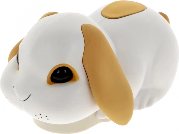 Izgága nyuszi, aki beindítja a szórakozást