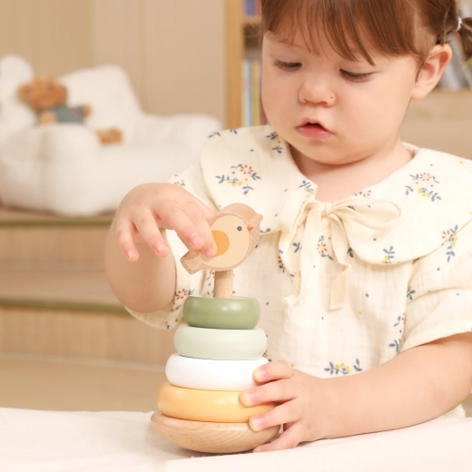 A motorika és a logikus gondolkodás fejlesztése