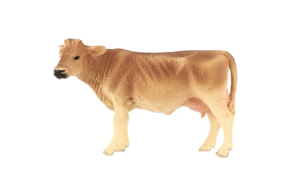 Oktatási cél