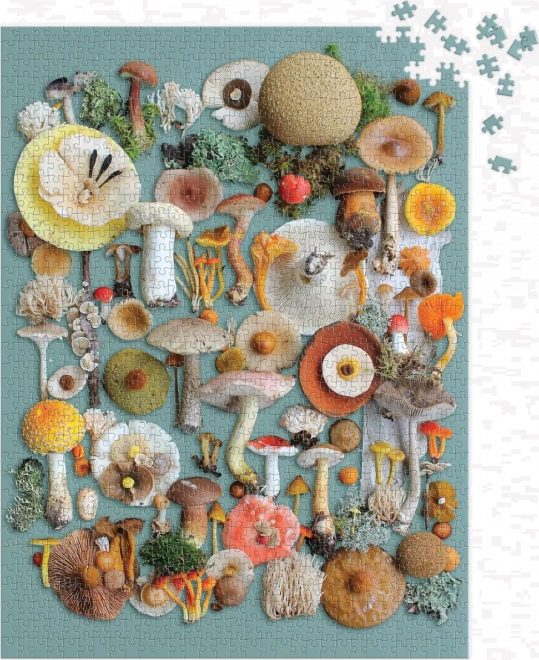 GALISON Puzzle Szüret 1000 darab