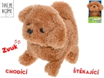 Interaktív plüss kutyus Take Me Home 15,5 cm