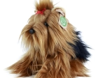 Yorkshire terrier plüsskutya, környezetbarát