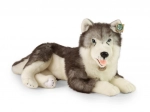 Plüss fekvő husky kutya 60 cm ECO‑FRIENDLY a RAPPA-tól