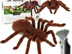 távirányítós versenyző tarantula pókok villogó szemekkel