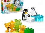 LEGO DUPLO vadállatcsaládok: pingvinek és oroszlánok